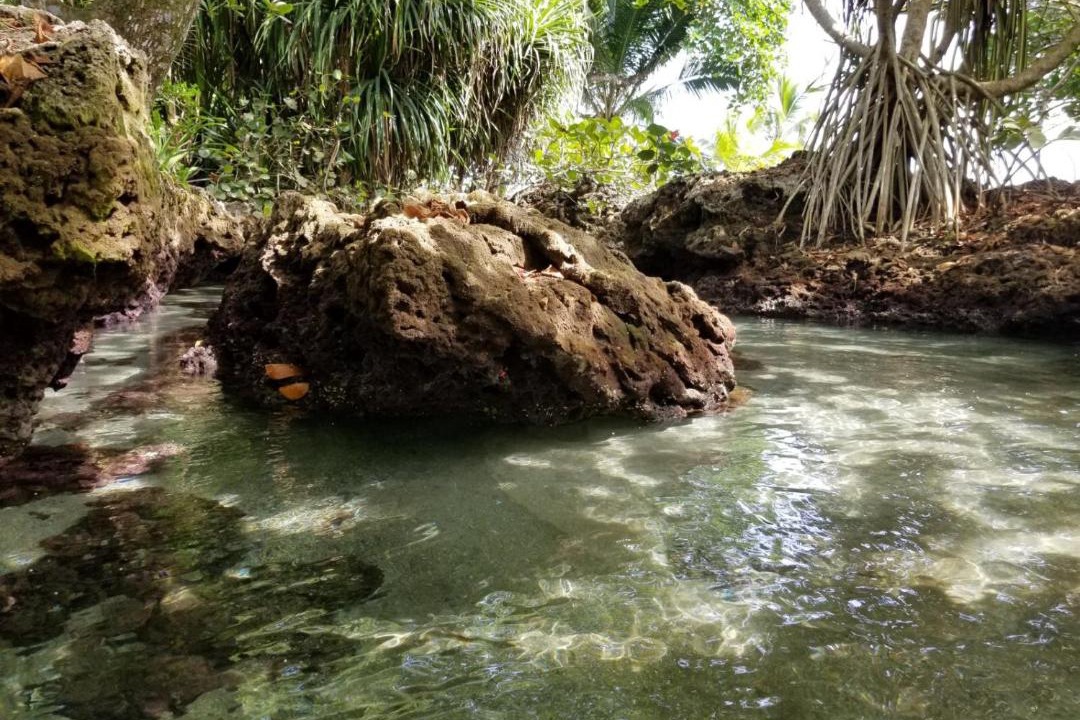 Photo of Others in Cahuita
