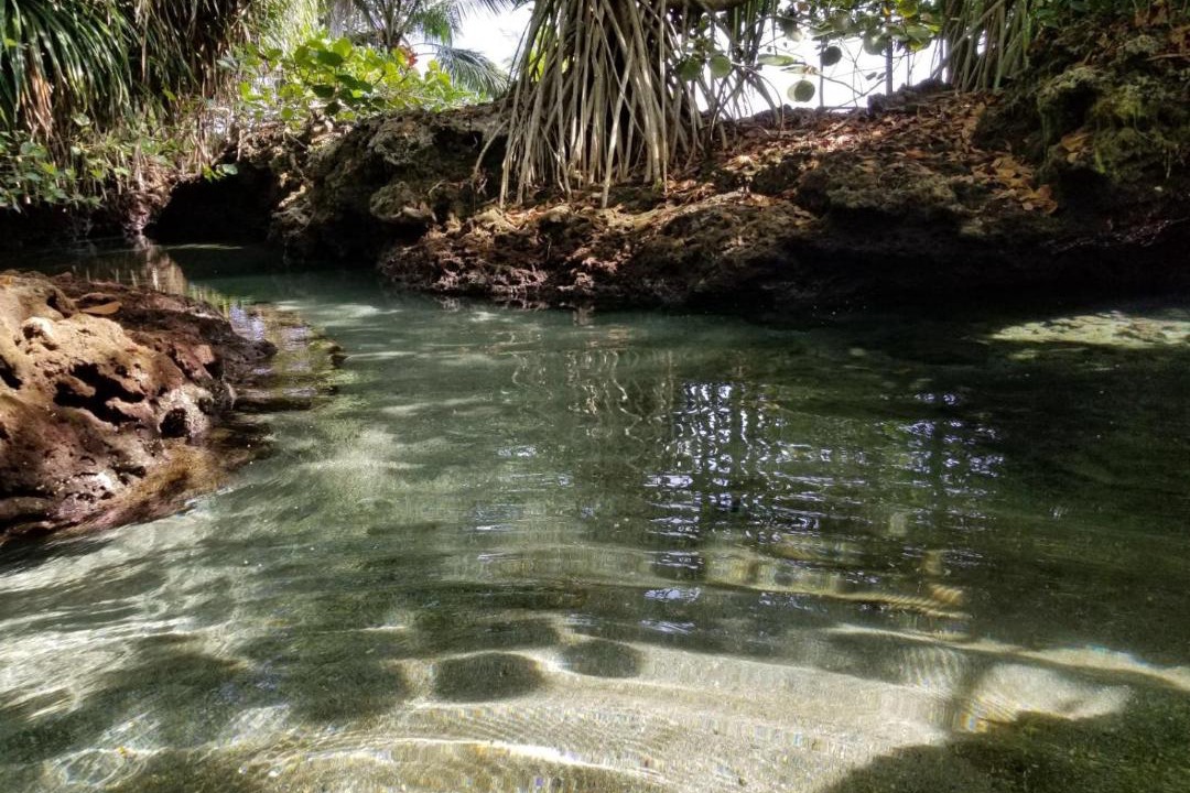 Photo of Others in Cahuita