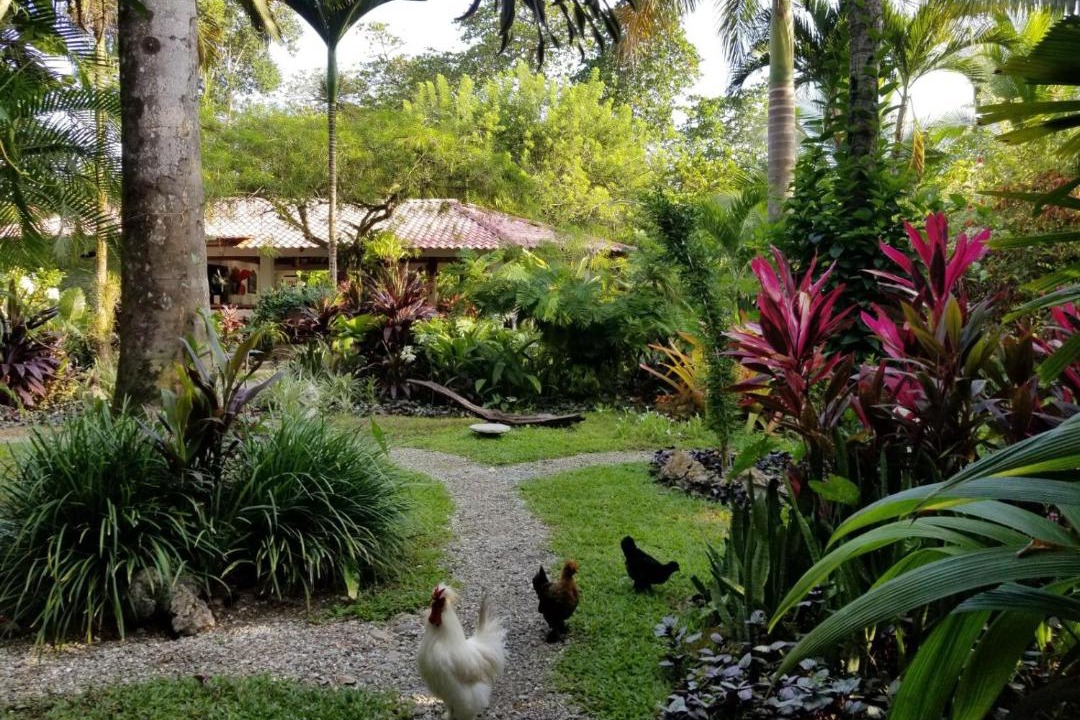 Photo of Others in Cahuita