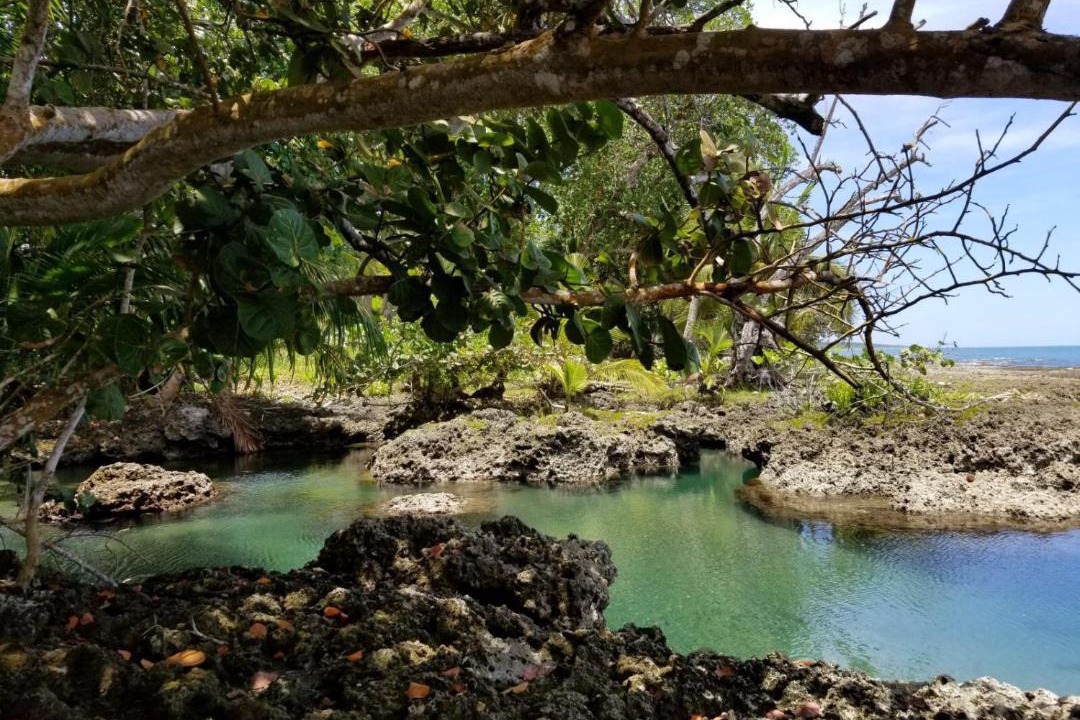 Photo of Others in Cahuita