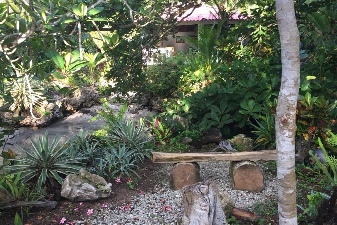 Photo of Others in Cahuita