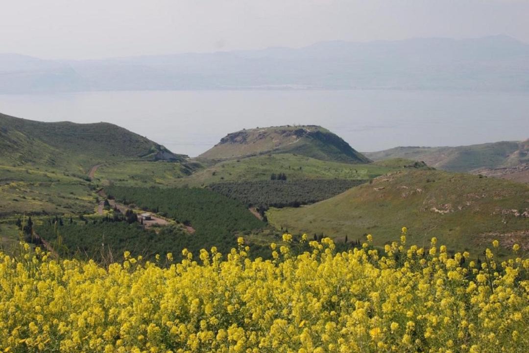 Photo of Others in Ne'ot Golan
