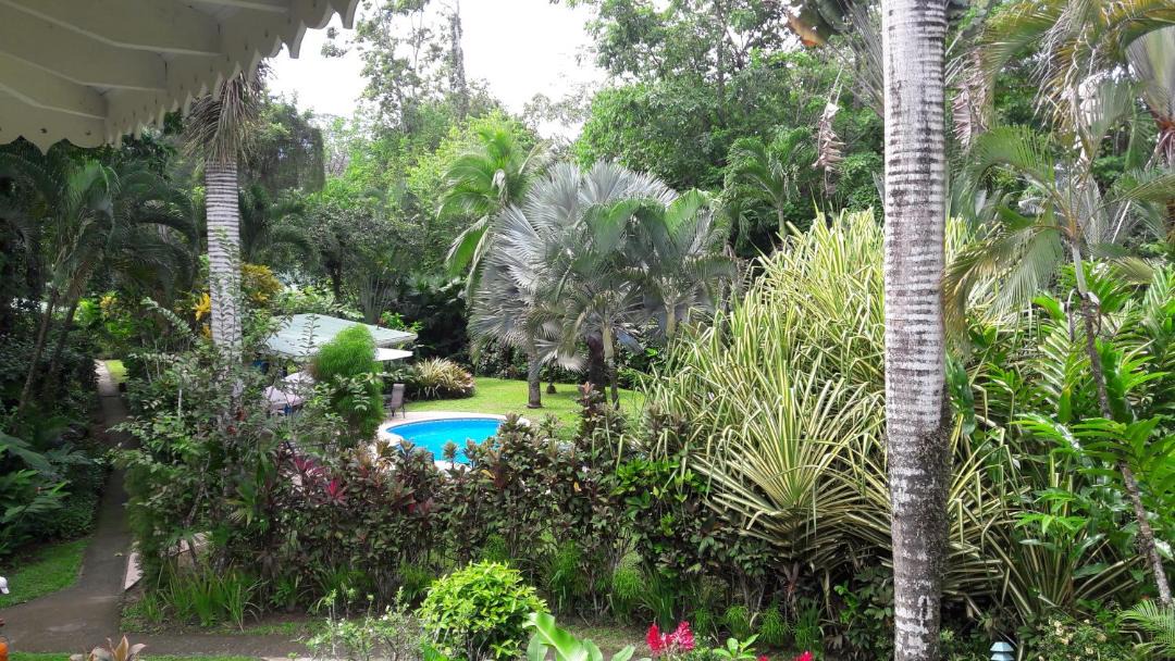Photo of Others in Cahuita