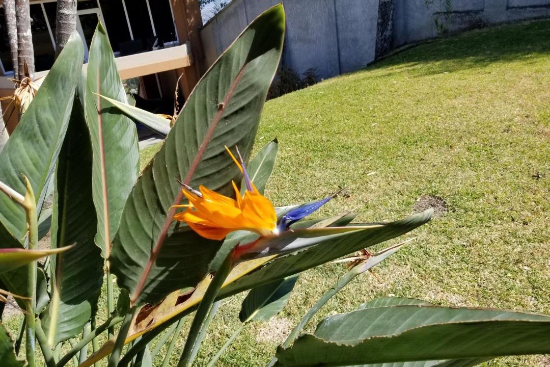 Photo of Others in Escazu