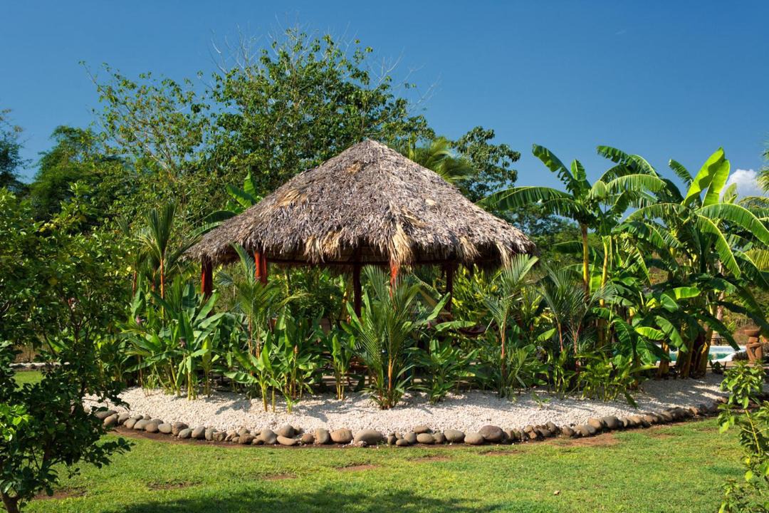 Photo of Others in Matapalo