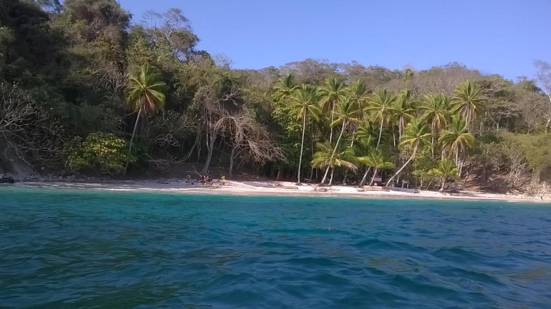 Photo of Others in Paquera