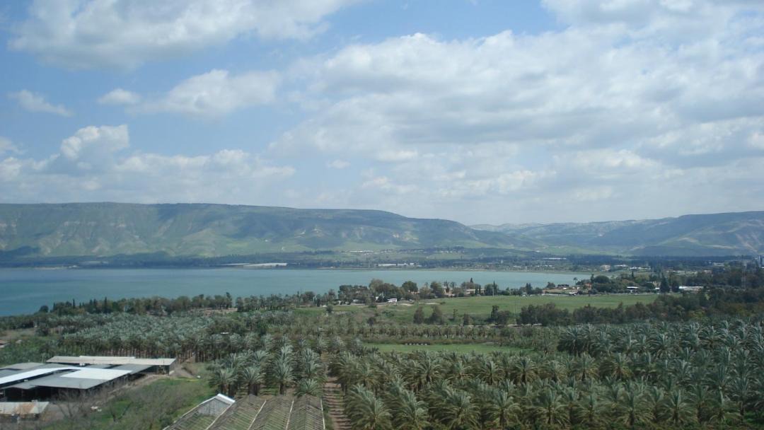 Photo of Others in Deganya Bet