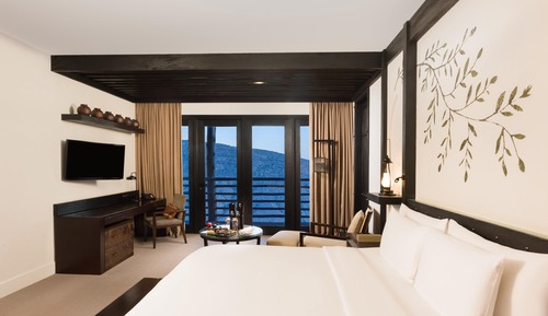 Room, 1 King Bed (Jabal Ridge View)