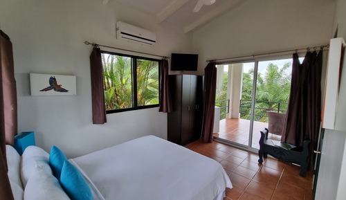 Standard Room, 1 Queen Bed, Accessible, Ocean View