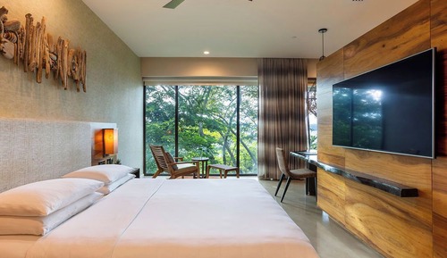 Room, 1 King Bed (Forest View)