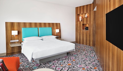 Room, 1 King Bed