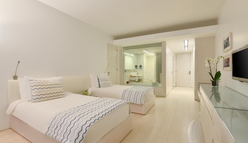 Room (Panoramic Club Twin)