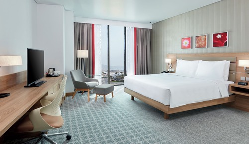Room, 1 King Bed
