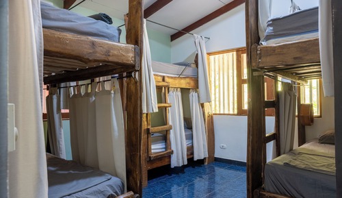Comfort Shared Dormitory, Mixed Dorm