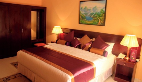 Standard Single Room, 1 King Bed, Park View
