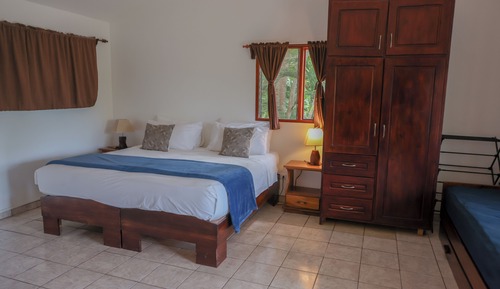 Superior Studio, Kitchen, Garden View