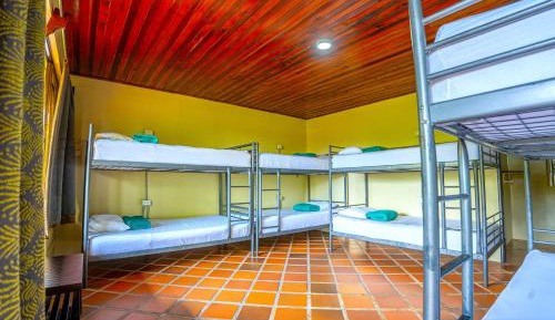 Bed in 8-Bed Mixed Dormitory Room