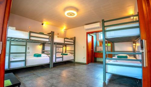 Bed in 6-Bed Mixed Dormitory Room