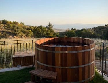 Suite with Mountain View