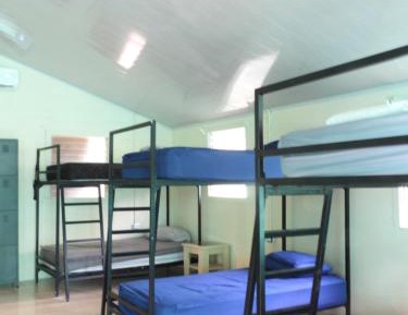 Bed in 10-Bed Mixed Dormitory Room