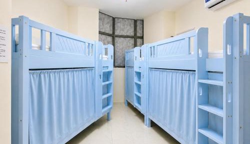 Bunk Bed in Mixed Dormitory Room