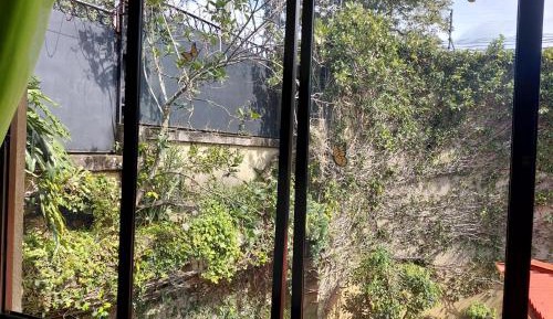 Single Room with Garden View