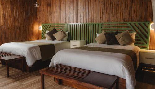 Double Room with Two Double Beds