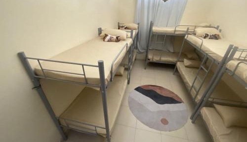 Bunk Bed in Male Dormitory Room 