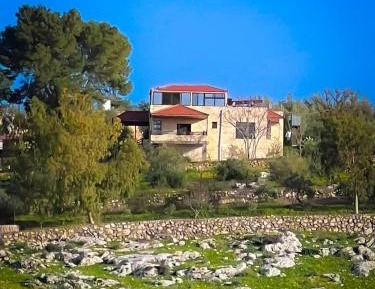 One-Bedroom Villa