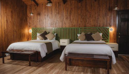 Double Room with Two Double Beds