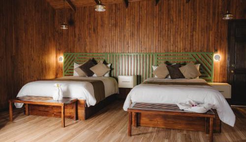 Double Room with Two Double Beds