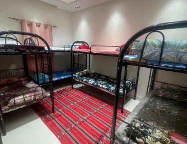 Bed in Male Dormitory Room