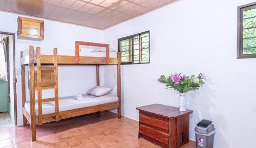 Bed in 6-Bed Mixed Dormitory Room