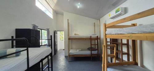 Bed in 8-Bed Mixed Dormitory Room