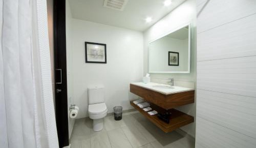 King Suite with Sofa Bed