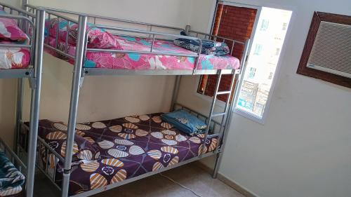 Single Bed in 6-Bed Dormitory Room