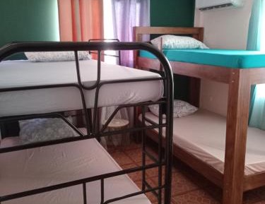 Bed in 6-Bed Mixed Dormitory Room