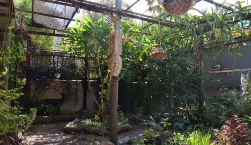 One-Bedroom Apartment with Garden