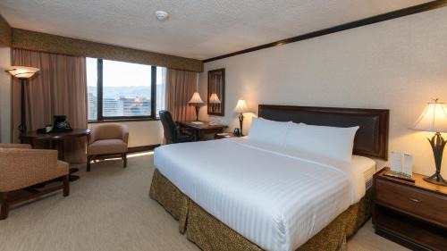 Executive King Room with City View