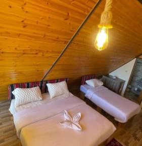 Triple Room with Mountain View