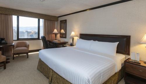 Standard King Room with City View