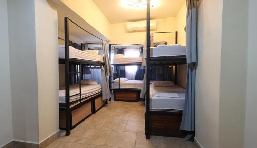 Bed in 6-Bed Dormitory Room