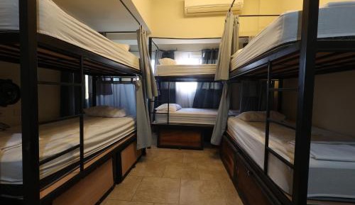 Bed in 8-Bed Dormitory Room