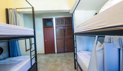Bed in 4-Bed Dormitory Room