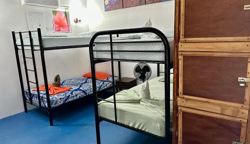 Single Bed in Mixed Dormitory Room