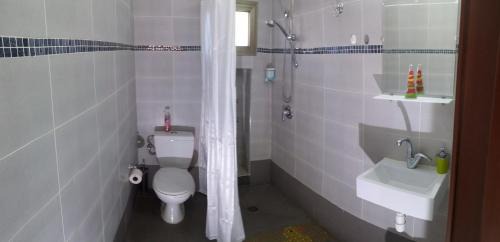 Deluxe Studio