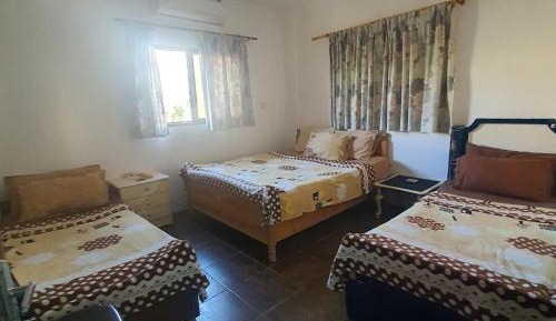 Basic Triple Room