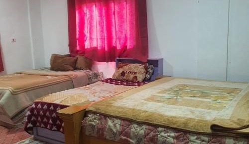 Bed in 4-Bed Dormitory Room