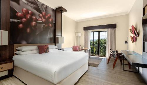 Deluxe Guest Room King Bed