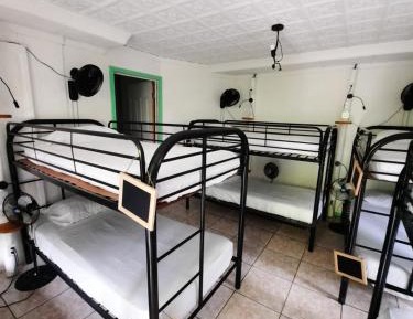 Bed in 10-Bed Mixed Dormitory Room